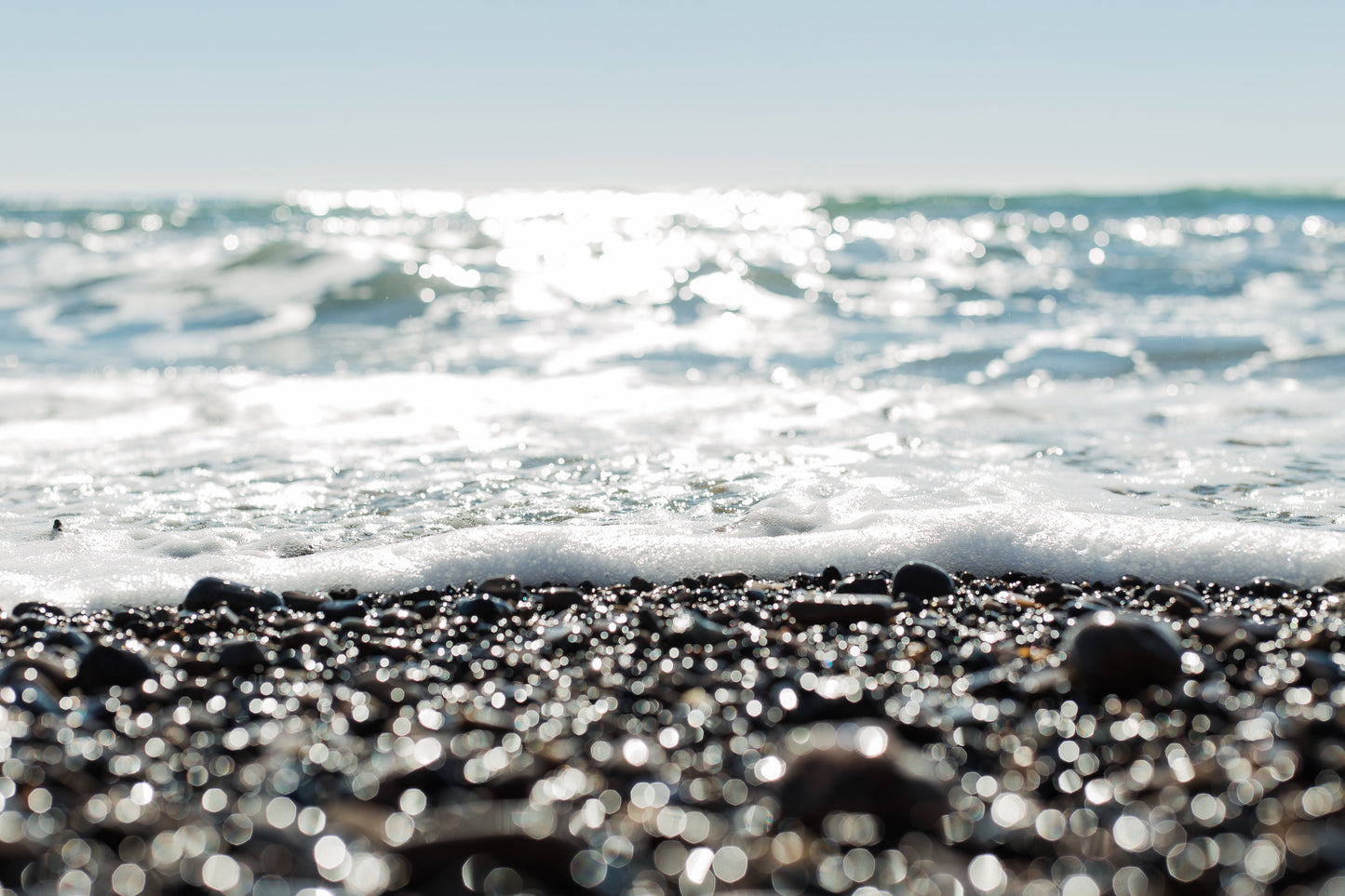 Shimmery Ano Nuevo 2