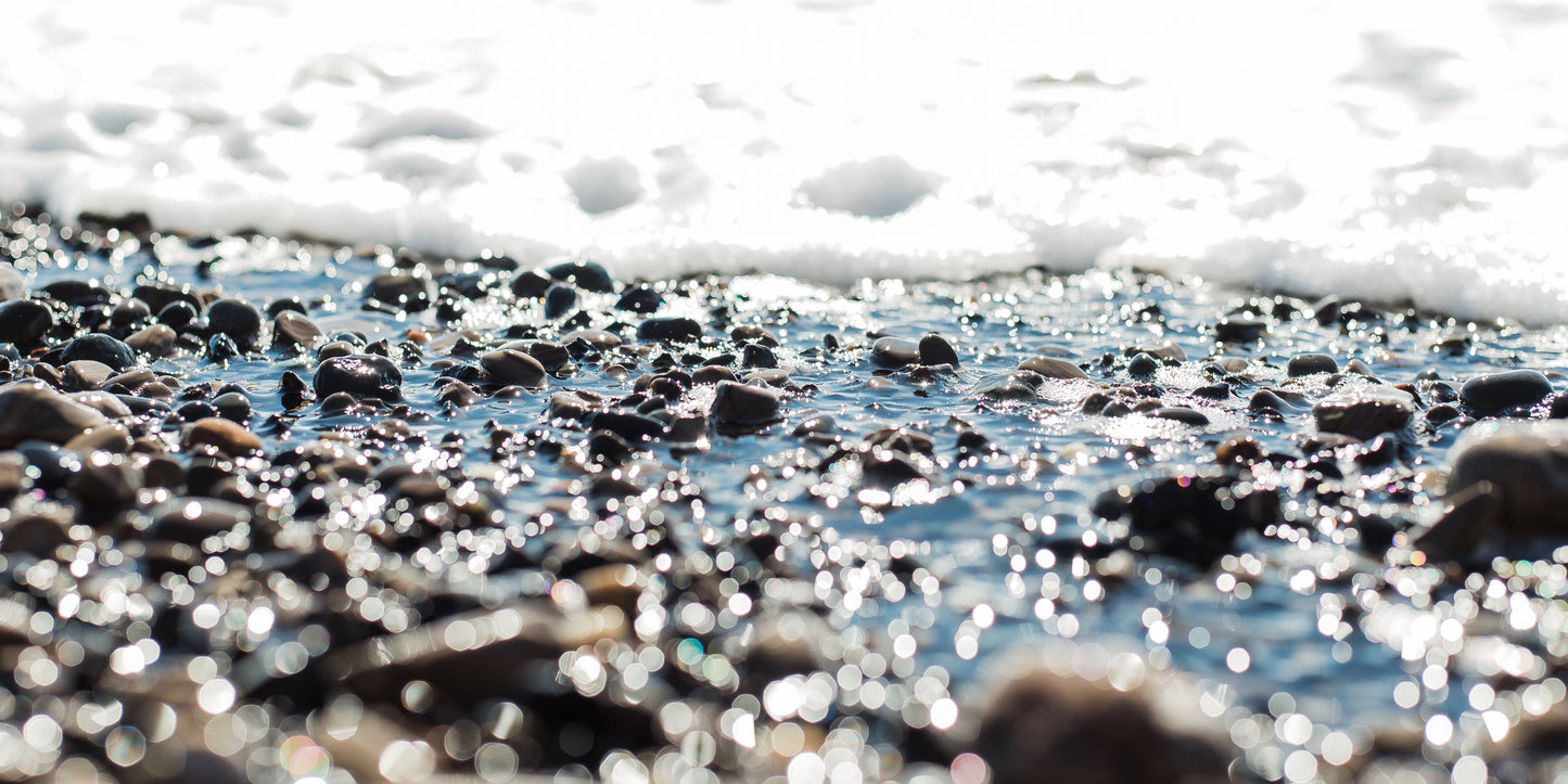 Shimmery Ano Nuevo 3