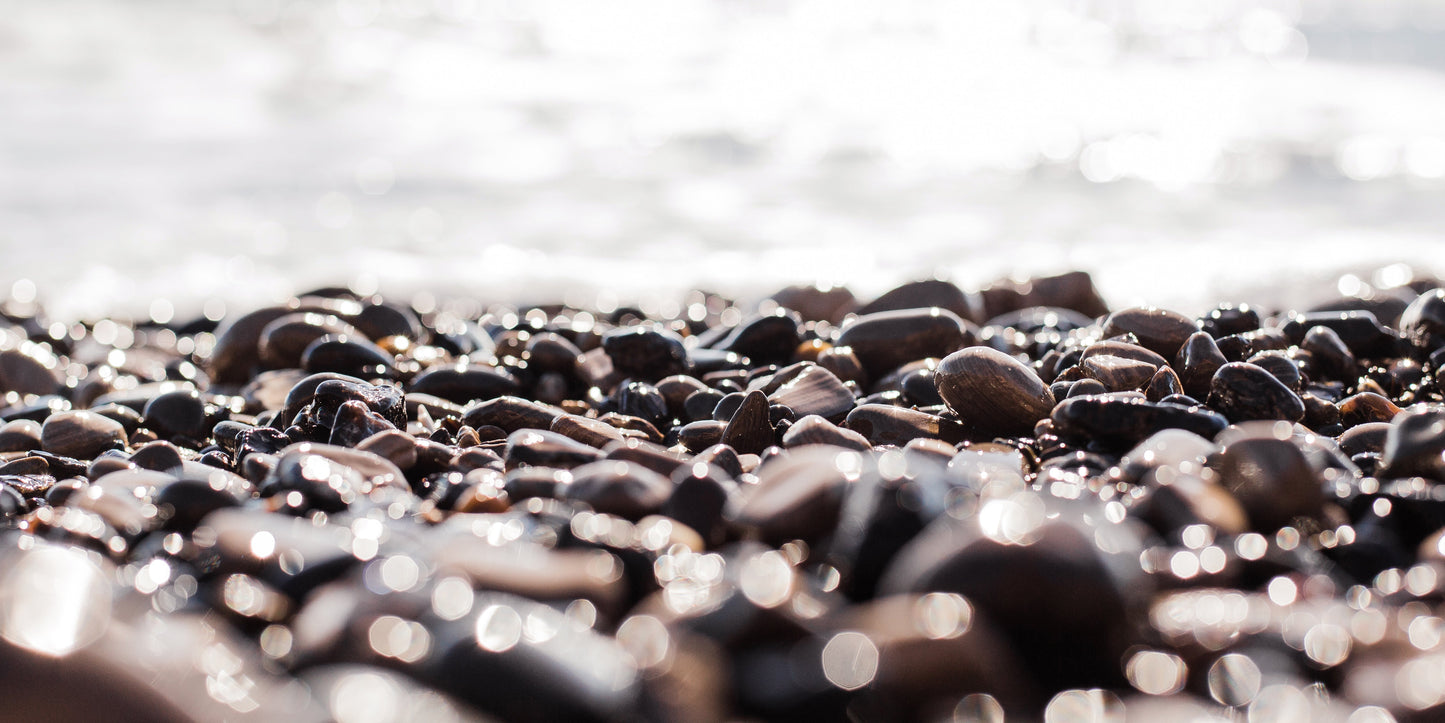 Shimmery Ano Nuevo 4