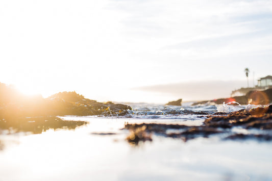 King Tide Reflections