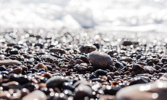 Shimmery Ano Nuevo 1