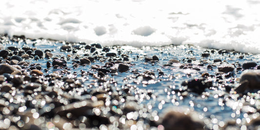 Shimmery Ano Nuevo 3