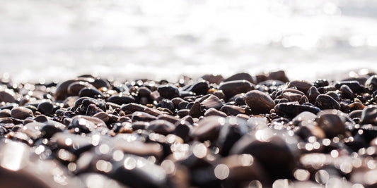 Shimmery Ano Nuevo 4